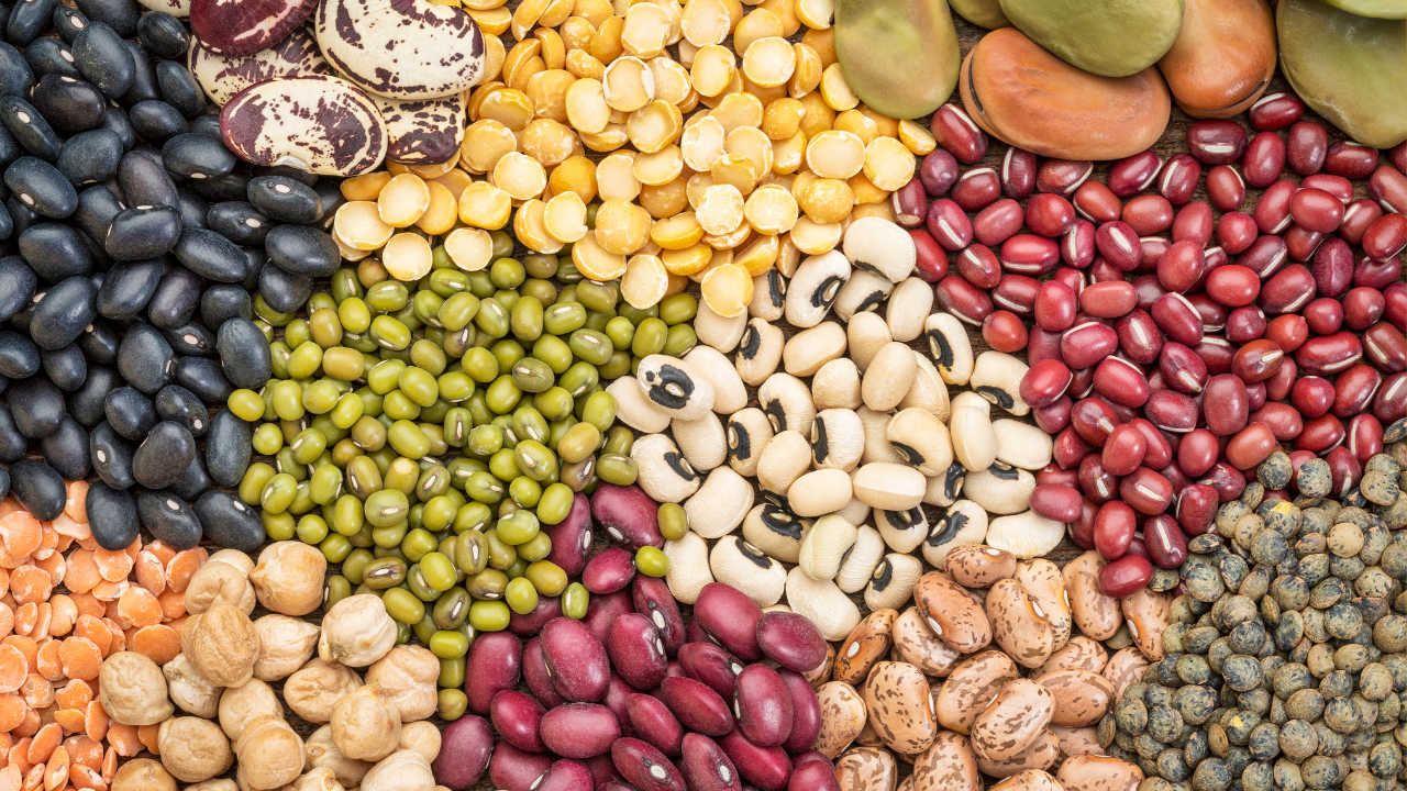Pulses, Lentils & Beans